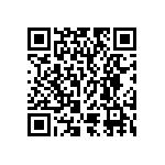 RT2512CKB071K13L QRCode