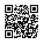 RT9170-12GB QRCode