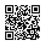 RT9198-32GBR QRCode