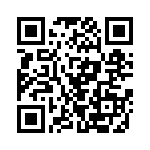 RT9387GQW QRCode