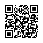 RT9711CGBG QRCode