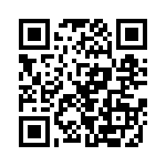 RT9953GQW QRCode