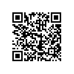 RWR80S38R3FRB12 QRCode