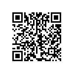 SIT1602BI-22-28E-74-176000D QRCode