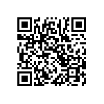 SIT1602BI-31-30N-28-636300X QRCode