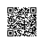 SMBG5343C-TR13 QRCode