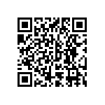 STMGFS30243R3-J QRCode