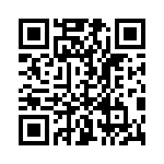 T-176-300 QRCode