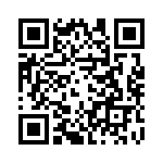 T10B140 QRCode