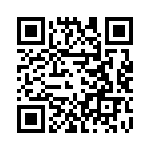 T30604540000G QRCode