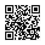 T38002-13-0 QRCode