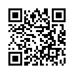 T38010-03-0 QRCode