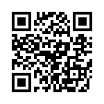 T38010-17-0 QRCode