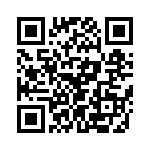 T38021-04-0 QRCode