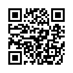 T38027-10-0 QRCode