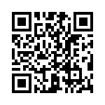 T38028-12-0 QRCode