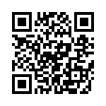 T38032-02-0 QRCode