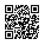 T38038-09-0 QRCode