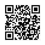 T38042-10-0 QRCode