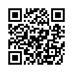 T38042-17-0 QRCode