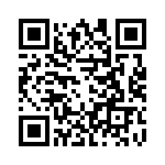 T38058-01-0 QRCode