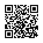 T38063-13-0 QRCode