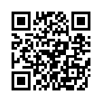 T38065-20-0 QRCode