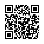 T38067-13-0 QRCode