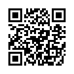 T38078-13-0 QRCode