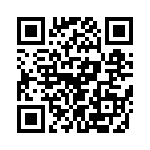 T38100-07-0 QRCode