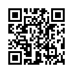 T38130-04-0 QRCode