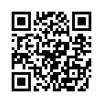 T38142-03-0 QRCode