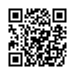 T38172-13-0 QRCode