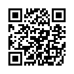 T38213-17-0 QRCode