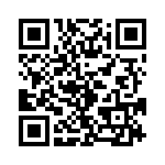 T38312-04-0 QRCode