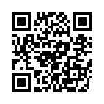 T38312-20-0 QRCode