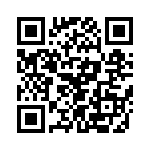 T38313-01-0 QRCode