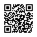 T38313-05-0 QRCode