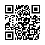 T38337-09-0 QRCode