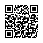 T38423-17-0 QRCode