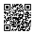 T38428-24-0 QRCode