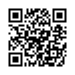 T38512-06-0 QRCode