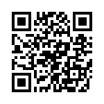 T38512-22-0 QRCode