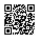 T38513-09-0 QRCode