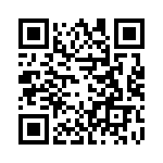 T38523-04-0 QRCode