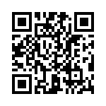 T38528-09-0 QRCode