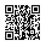 T38531-17-0 QRCode