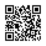 T38532-13-0 QRCode