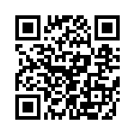 T38533-04-0 QRCode