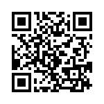 T38535-13-0 QRCode